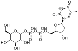 TDP-Glucose Structural