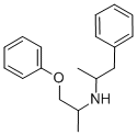 racefemine Structural