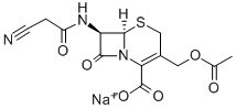 Cefacetrile sodium (JAN),CEFACETRILE SODIUM