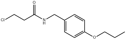 CHEMBRDG-BB 5238061 Structural