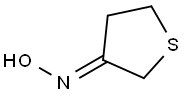 TETRAHYDROTHIOPHEN-3-ONE OXIME Structural