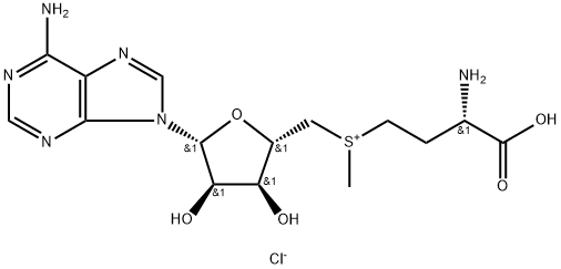 S-ADENOSYL-L-METHIONINE CHLORIDE SALT Structural