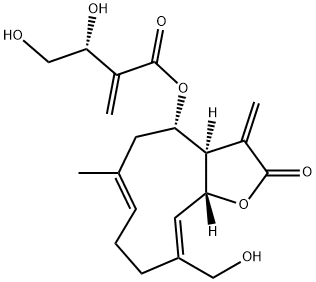 CNICIN Structural