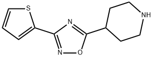 4-[3-(THIEN-2-YL)-1,2,4-OXADIAZOL-5-YL]PIPERIDINE
