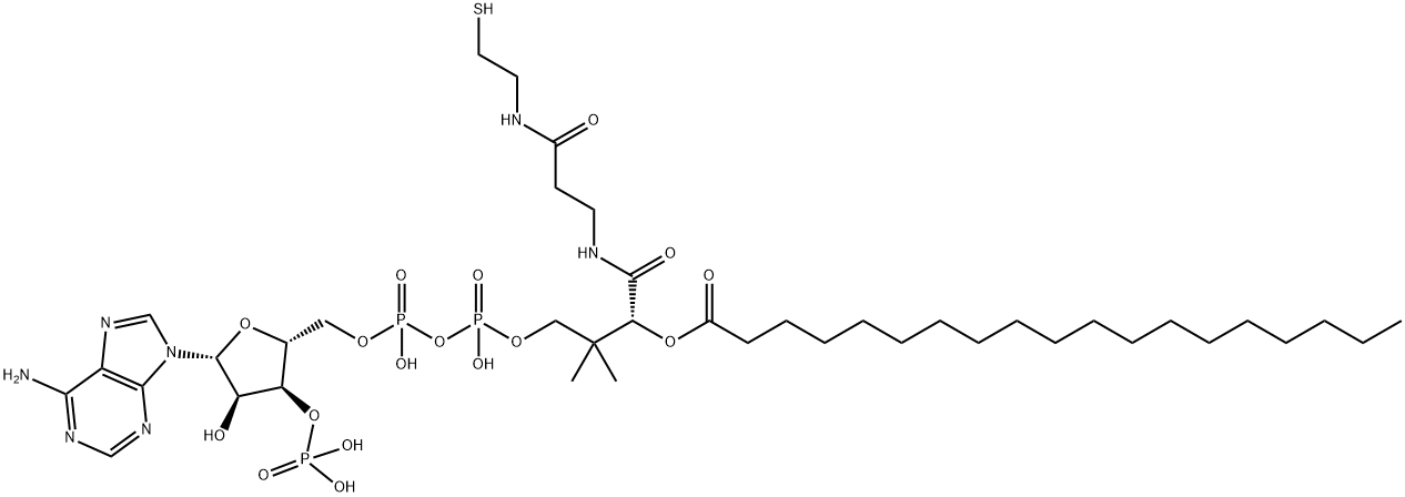 NONADECANOYL COENZYME A