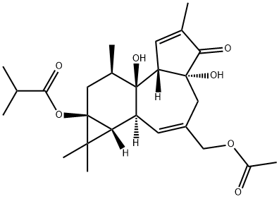 12-DEOXYPHORBOL 13-ISOBUTYRATE 20-ACETATE