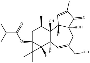 12-DEOXYPHORBOL 13-ISOBUTYRATE