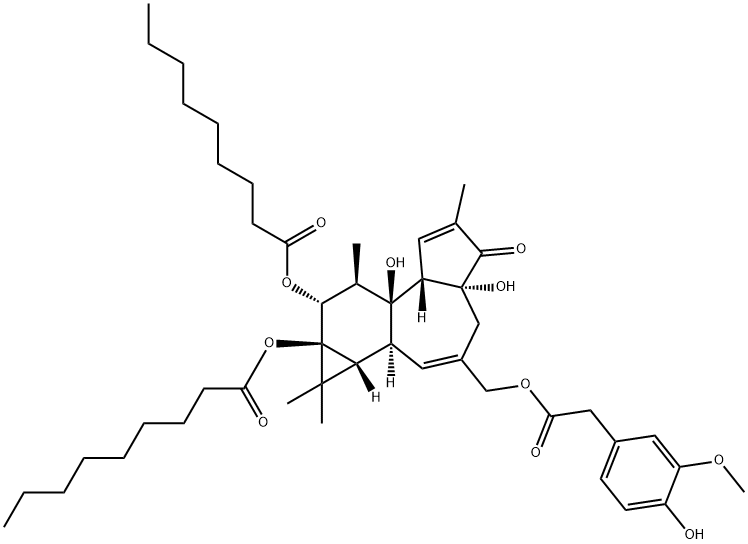 PDNHV Structural