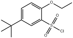 5-TERT-BUTYL-2-ETHOXYBENZENE-1-SULFONYL CHLORIDE