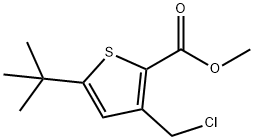 METHYL 5-(TERT-BUTYL)-3-(CHLOROMETHYL)THIOPHENE-2-CARBOXYLATE