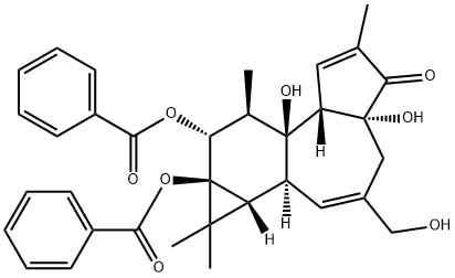 PHORBOL 12,13-DIBENZOATE Structural