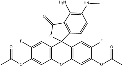 DAF-FM DA Structural