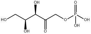 xylulose-1-phosphate Structural