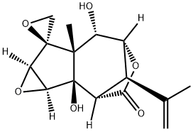 TUTIN Structural