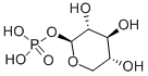 A-D-XYLOSE 1-PHOSPHATE*DI(MONOCYCLOHEXYLAMMONIUM)