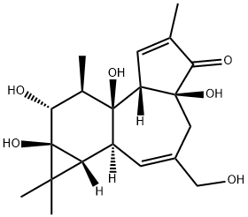 4ALPHA-PHORBOL