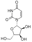 L-Uridine