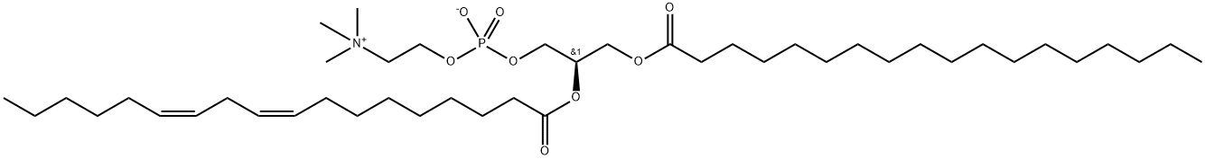 1-stearoyl-2-linoleoylphosphatidylcholine