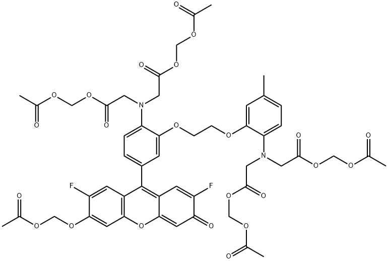 FLUO-4-AM  FOR FLUORESCENCE  PGE. WITH 5 Structural