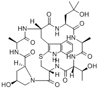 phalloin Structural