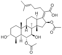 CEPHALOSPORINP1 Structural