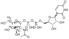 URIDINE DIPHOSPHATE N-ACETYL-D-GLUCOSAMINE, [GLUCOSAMINE-14C(U)] Structural