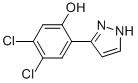 3-(4,5-DICHLORO-2-HYDROXYPHENYL)PYRAZOLE