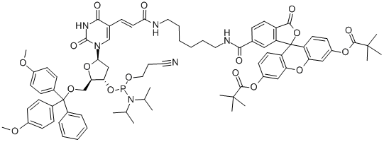 FLUORESCEIN-DT CEP