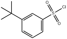 3-TERT-BUTYL BENZENESULFONYL CHLORIDE Structural