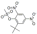 2,4-dinitro-6-tert-butylphenyl methanesulfonate