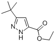 5-TERT-BUTYL-2H-PYRAZOLE-3-CARBOXYLIC ACID ETHYL ESTER Structural