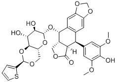 Teniposide Structural