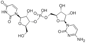 cytidylyl-(5'->3')-uridine 