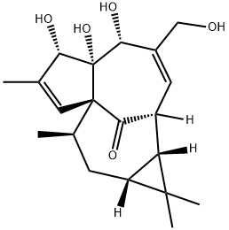 Ingenol Structural