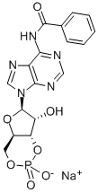 N(sup 6)benzoyladenosine 3':5'-cyclic monophosphate,N6-BENZOYLADENOSINE-3',5'-CYCLIC MONOPHOSPHATE SODIUM SALT,n6-benzoyladenosine3’:5’-cyclic*monophosphatef