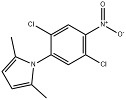 1-(2,5-DICHLORO-4-NITROPHENYL)-2,5-DIMETHYL-1H-PYRROLE