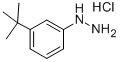 1-[3-(TERT-BUTYL)PHENYL]HYDRAZINE HYDROCHLORIDE