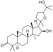 ARGENTATINA Structural