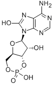 7,8-DIHYDRO-8-OXOADENOSINE-3':5'-CYCLIC MONOPHOSPHATE Structural