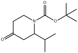 1-BOC-2-ISOPROPYL-PIPERIDIN-4-ONE Structural