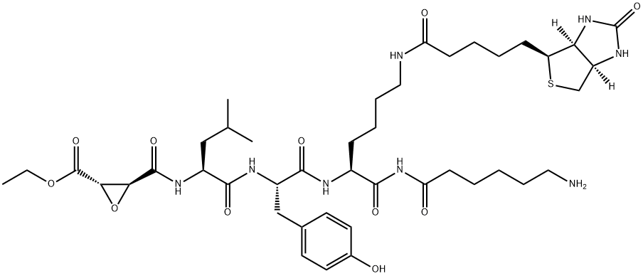 DCG04 Structural