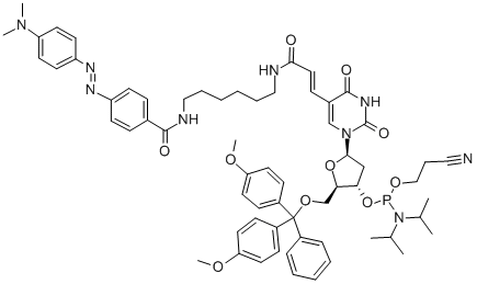 DABCYL-DT CEP Structural