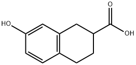 7-HYDROXY-1,2,3,4-TETRAHYDRO-NAPHTHALENE-2-CARBOXYLIC ACID
 Structural