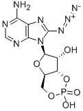 8-AZIDOADENOSINE 3':5'-CYCLIC MONOPHOSPHATE