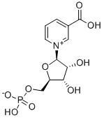 NICOTINIC ACID MONONUCLEOTIDE