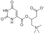 3-Carboxy-2-hydroxy-N,N,N-trimethyl-1-propanaminium 1,2,3,6-tetrahydro-2,6-dioxo-4-pyrimidinecarboxylic acid salt