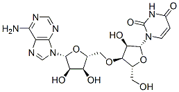 uridylyl(3'->5')adenosine  