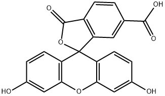 6-Carboxyfluorescein