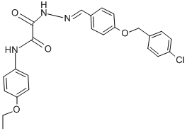 SALOR-INT L488569-1EA