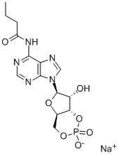 33116-16-4 structural image